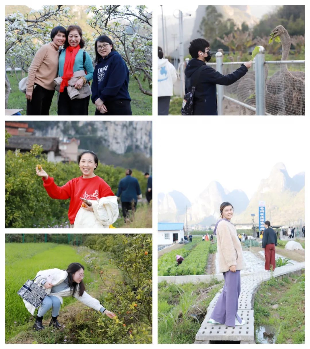 五天覺醒之旅，開啟幸福人生新篇章——第76期“生命覺醒 健康幸福”培訓圓滿結束